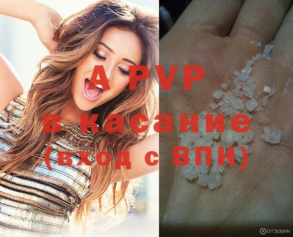 гидра Алексин