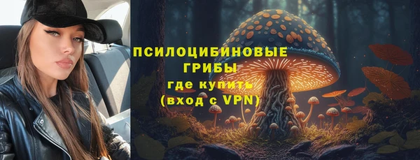 гидра Алексин