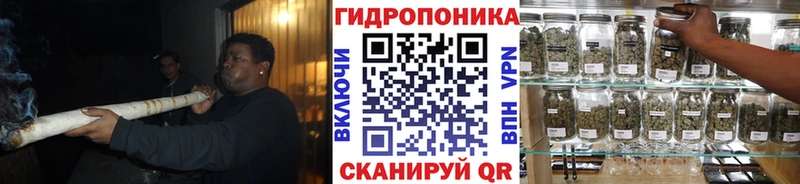 shop клад  Красноуфимск  Конопля сатива 